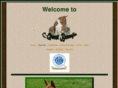 cquestbasenjis.com