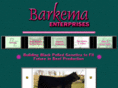 dbarkema.com