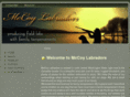 mccoylabradors.com