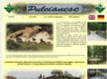 pulcianese.com