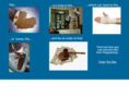 safe-t-surface.com