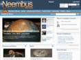 neembus.com