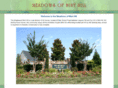 meadowsofminthill.com
