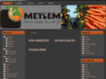 meysem.com