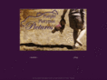 purpleplat.com