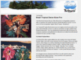 brasilshow.com
