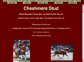 cheshmerestud.com