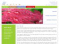 evolvesolutionsllc.com