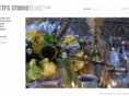 tfsstudio.com