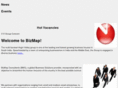 bizmapconsultants.com