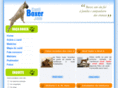 canilboxer.com