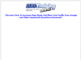 seotraininglive.com
