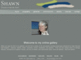 shawndahlstrom.com