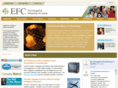 theefc.biz