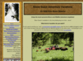 bisonquest.com