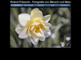 roland-foto.net