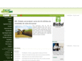 ruralnewsms.com.br