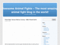 awesomeanimalfights.com