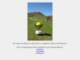 pitchmarke.de