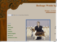 redsagewelshspringers.com
