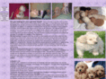 daisyhillabradoodles.com