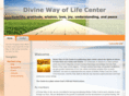 divinewayoflife.com
