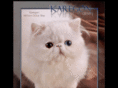 persian-cats.info