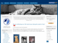 rescuecats.com
