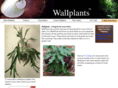 wallplants.com