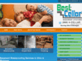 bestcellarbasements.com