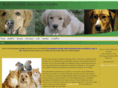 bunnscreekvet.com