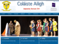 colaisteailigh.com