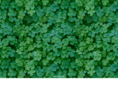 melidee.com