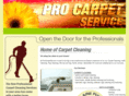 procarpetservice.net