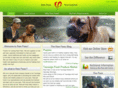 rawpawz.com
