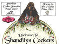 shandilyncockers.com