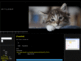blackcatlab.com