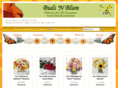 budsnblum.net
