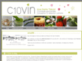 c10vin.com