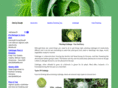 plantingcabbage.net