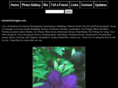 robvalineimages.com