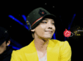 gd-fan.com