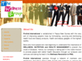 prolinkinternational.com