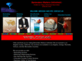 bartenderswaiters.com