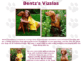 bentzvizslas7.com