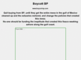 boycot-bp.com