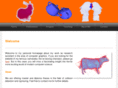 collision-detection.com