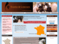ecuries-et-concours.com