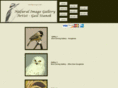 naturalimagegallery.com