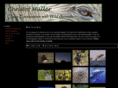 christofmuller.com